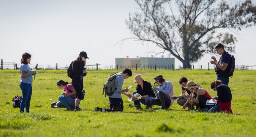 A group of students learning outside on the grass