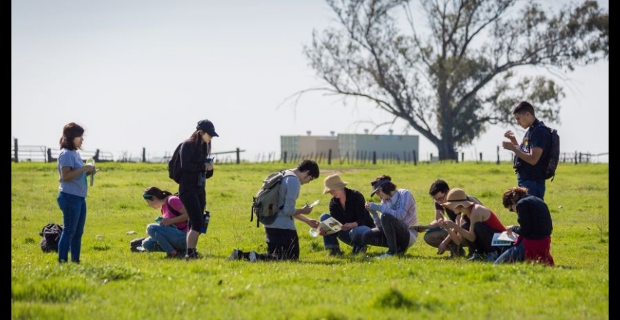 A group of students learning outside on the grass